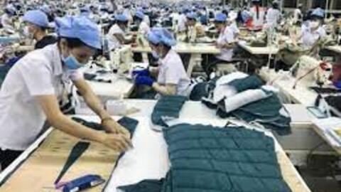 Sụt giảm đơn hàng, doanh nghiệp ráo riết tái cấu trúc