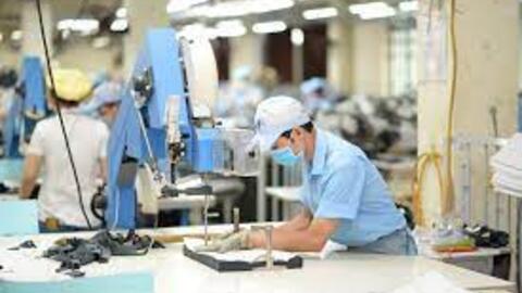 Sức ép truy xuất nguồn gốc nguyên liệu với doanh nghiệp dệt may