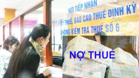 Sau khi bị bêu tên, nhiều doanh nghiệp thanh toán đủ các khoản thuế
