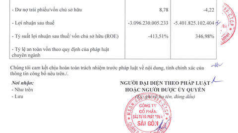 Doanh nghiệp BĐS lớn thứ 3 Việt Nam: Ông chủ bí ẩn, âm thầm lỗ 30 tỷ/ngày