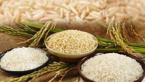 Ấn Độ xem xét giảm giá sàn xuất khẩu gạo basmati