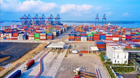 Xuất khẩu ngược dòng tăng tốc