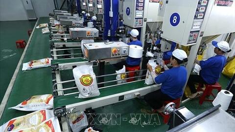 Giá gạo Việt Nam tăng lên mức cao nhất trong hơn 15 năm