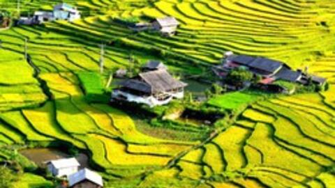 Một ngành kinh tế tại Việt Nam có mức tăng trưởng cao nhất trong nhiều năm, thặng dư thương mại kỷ lục