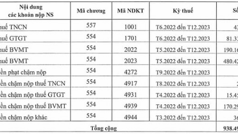 Công ty xăng dầu nhà "đại gia kim cương" bị cưỡng chế gần 1.000 tỷ đồng tiền thuế đang nợ