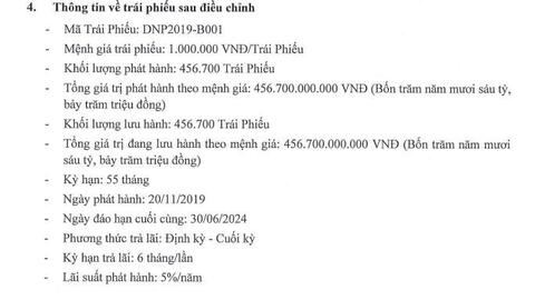 DNP Holding gia hạn 450 tỷ đồng trái phiếu thêm nửa năm