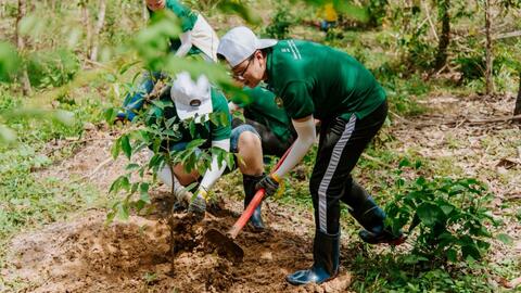Quy định chi tiết thi hành một số điều của Luật Lâm nghiệp