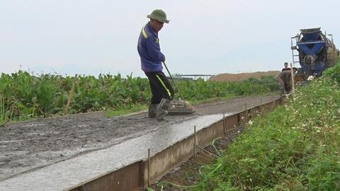 Đấu giá hàng trăm nghìn m2 đất nông nghiệp tại Ba Vì