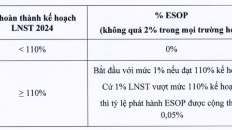 Vượt kế hoạch lợi nhuận 2024, lãnh đạo Thế giới Di động vẫn có thể không được ESOP, thậm chí sẽ bị "cắt" thêm nếu giá cổ phiếu MWG trên sàn thua VN-Index
