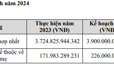 Đất Xanh (DXG) đặt kế hoạch lãi ròng tăng 31%, dự kiến chia cổ tức 20%