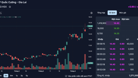 Cổ phiếu QCG bất ngờ “cháy hàng” sau khi Quốc Cường Gia Lai bị buộc trả lại hơn 2.800 tỷ đồng nhận từ bà Trương Mỹ Lan