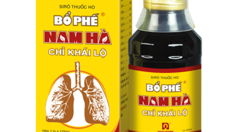 Dược Nam Hà báo lãi ròng năm 2023 ‘bốc hơi’ 54%, cắt giảm gần 1/3 nhân sự