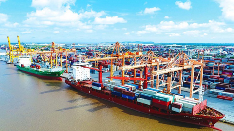 Một thành viên của Tổng Công ty Hàng hải chuẩn bị trả cổ tức tiền mặt cao kỷ lục