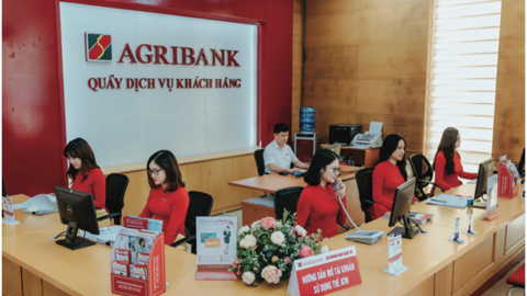 Ngân hàng thanh lý loạt lô đất diện tích trên 1000m2 tại Thủ Đức (TPHCM) và An Giang