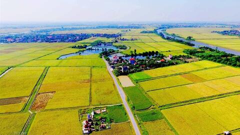 Quy định mới nhất của Luật Đất đai 2024 về việc chuyển đổi đất nông nghiệp lên đất thổ cư