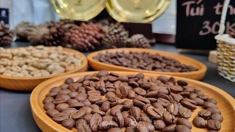 Kinh tế 6 tháng: Xuất siêu nông lâm thủy sản tăng trên 62%