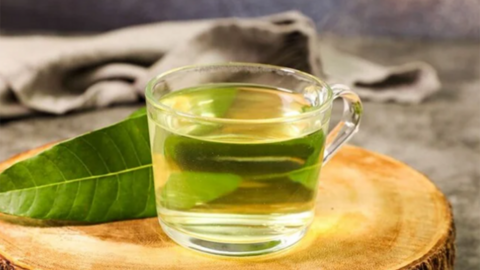 Lá xoài và 6 công dụng ít ai biết đến