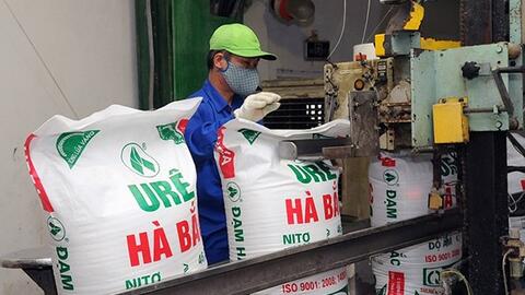 Xuất khẩu phân bón của Việt Nam bất ngờ tăng mạnh