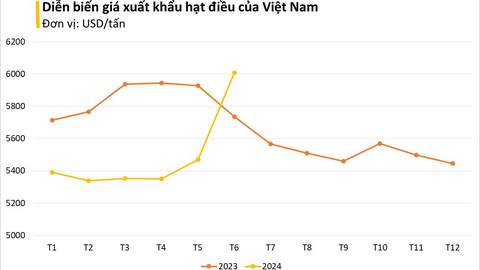 Loại hạt Việt Nam đứng đầu thế giới về xuất khẩu: Mỹ chốt đơn nửa tỷ USD, giá tăng vọt trong tháng 6