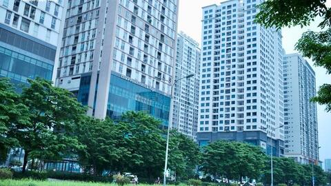 Nên đầu tư nhà đất từ bây giờ hay chờ luật Đất đai có hiệu lực?