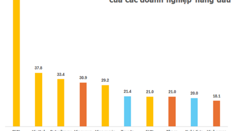 DN của 6 tỷ phú đô la Việt Nam nộp ngân sách gần 73.000 tỷ đồng năm 2023, gần bằng “người khổng lồ” PVN, ngang ngửa Viettel và Petrolimex cộng lại