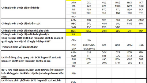 HoSE tiếp tục cắt margin cổ phiếu do thua lỗ, danh sách không được giao dịch ký quỹ gần 100 mã chứng khoán