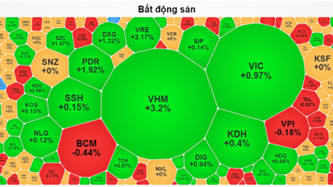 Nhịp đập Thị trường 11/10: VN-Index quay lại giảm điểm