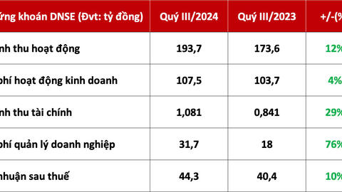 9 tháng đầu năm, doanh thu môi giới chứng khoán DNSE tăng 115% so với cùng kỳ