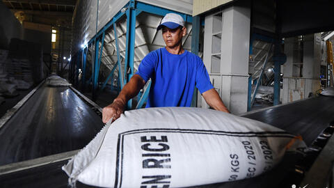 Xuất khẩu vượt 5 tỷ USD, vẫn đau đáu chưa có thương hiệu gạo Việt chất lượng cao