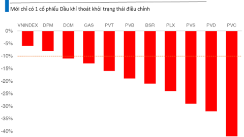 Cổ phiếu dầu khí chưa giúp nhà đầu tư “tránh bão” khi thị trường bất lợi