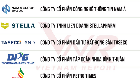 10 DN tăng trưởng nhanh nhất Việt Nam 2025: Long Châu bứt phá lên Á quân, Taseco Land tăng 2 bậc, lộ diện những cái tên kín tiếng