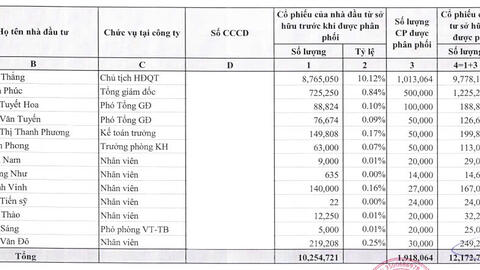 DIC Holdings chào bán cổ phiếu ‘ế’ cho 13 lãnh đạo, nhân viên