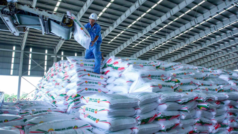 Xuất khẩu phân bón tăng trưởng mạnh, PVCFC giữ vững vai trò đầu tàu