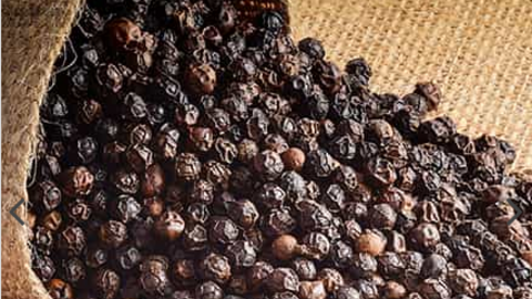 Xu hướng giá hạt tiêu giảm kéo dài 5 năm sẽ đảo chiều