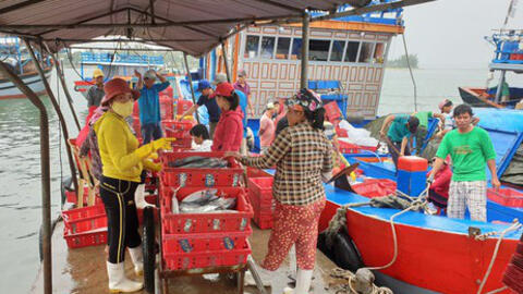 Tôm cá đầy khoang, ngư dân xứ Quảng bội thu “lộc biển” đầu năm