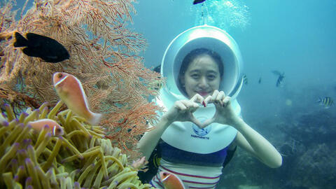 Màn "rút ví" của Shark Việt đầu năm mới khiến du lịch Phú Quốc thêm nóng: Đầu tư vào DN cung ứng dịch vụ "Đi bộ dưới đáy đại dương"