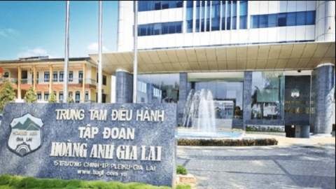 HAGL lên kế hoạch lợi nhuận tăng 9 lần, muốn phát hành cổ phiếu riêng lẻ