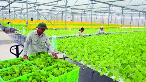 Nông nghiệp thích ứng với biến đổi khí hậu