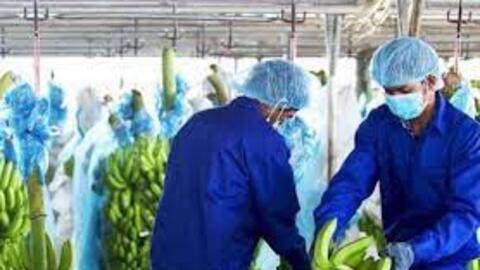 Hoàng Anh Gia Lai: Kiểm toán nghi ngờ đáng kể về khả năng hoạt động liên tục