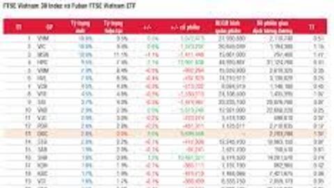 SSI Research: APH có thể rời VNM ETF