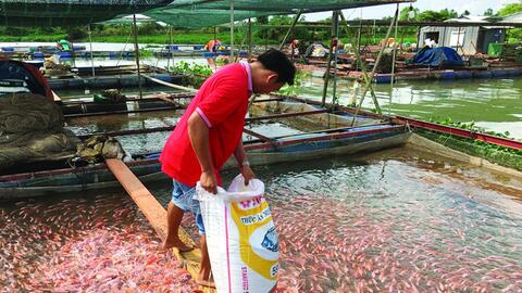 Vì sao doanh nghiệp thuỷ sản khó tiếp cận nguồn vốn trung và dài hạn?