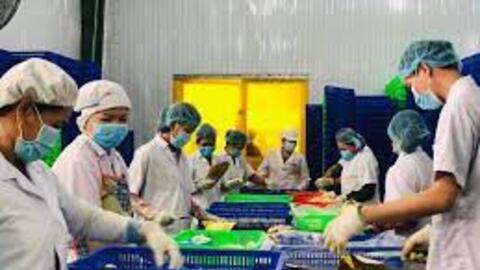 Doanh nghiệp đề nghị hỗ trợ xuất khẩu sầu riêng cấp đông và yến vào Trung Quốc