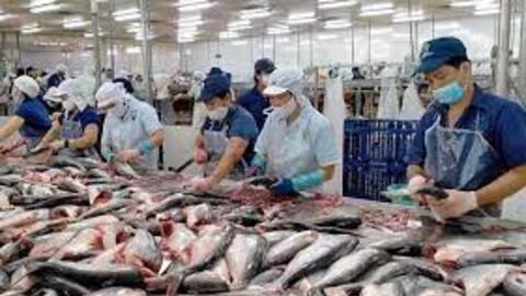 “Soán ngôi” Mỹ, Trung Quốc trở thành thị trường xuất khẩu nông sản lớn nhất của Việt Nam