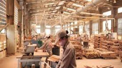 Tập đoàn Hà Lan muốn làm nhà máy chế biến gỗ hơn 1.000 tỷ đồng tại Quảng Trị