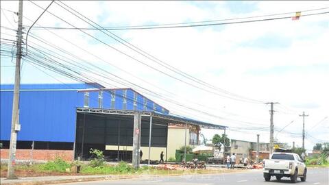 Loạn xây dựng kho, vựa thu mua sầu riêng tại Đắk Lắk