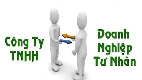 Kinh doanh khó khăn, Phú Tài sáp nhập hàng loạt chi nhánh và công ty con