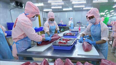 Xuất khẩu thuỷ sản vẫn còn nhiều thách thức