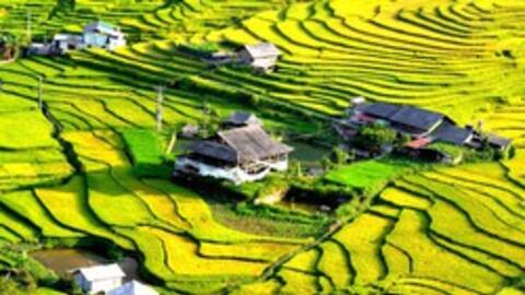 Một ngành kinh tế tại Việt Nam có mức tăng trưởng cao nhất trong nhiều năm, thặng dư thương mại kỷ lục