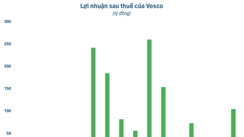 Vosco (VOS) lãi đột biến quý 4 nhờ bán tàu, lợi nhuận cả năm 2023 vẫn giảm 68%
