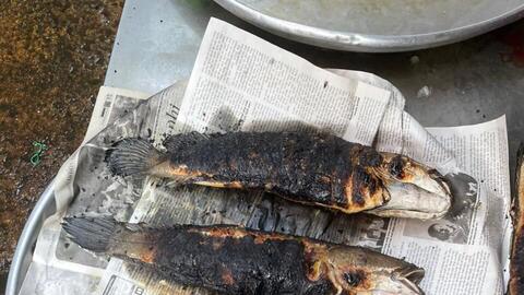 Giới trẻ cũng rủ nhau hưởng ứng ngày vía Thần Tài, tự tay nướng tôm và cá lóc nhộn nhịp